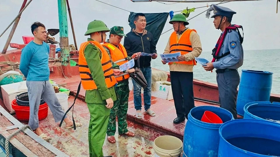 Combating IUU Fishing: Dong Thap excels with methodical and decisive approach; Quang Ninh restructures fisheries for sustainable development Combating IUU Fishing: Dong Thap excels with methodical and decisive approach; Quang Ninh restructures fisheries for sustainable development