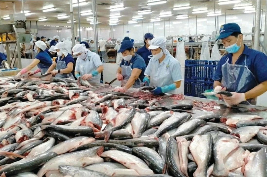 Deputy Foreign Minister Nguyen Minh Hang attends Vietnam Seafood Export Summary 2025 – Overcoming challenges, reaching records