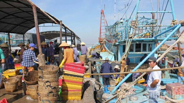 Combating IUU Fishing: Quang Tri establishes two control teams to monitor fishing grounds; Vinh Long strictly controls fishing vessels