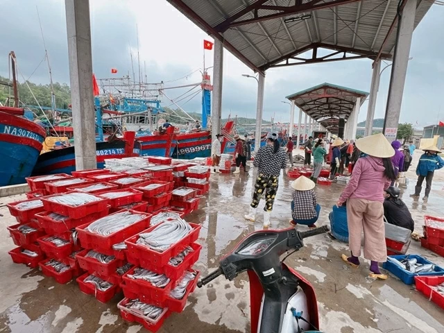 Combating IUU Fishing: Nghe An advances digitalisation; Hue supports fishermen in decommissioning “three-no” fishing vessels