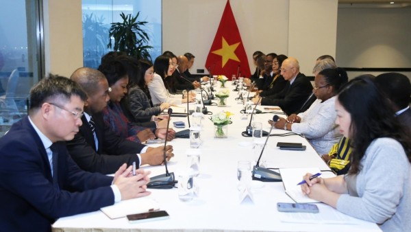 Deputy FM Le Thi Thu Hang welcomes Non-resident Ambassadors to attend the 14th National Party Congress