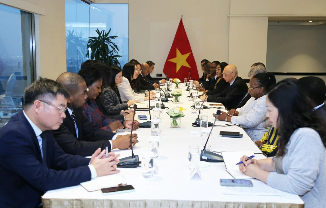Deputy FM Le Thi Thu Hang welcomes Non-resident Ambassadors to attend the 14th National Party Congress