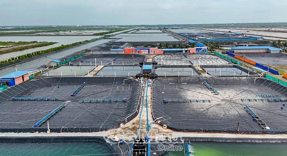 14th National Party Congress: Mobilizing resources, unlocking potential and advantages as Ca Mau's driving force in the new era