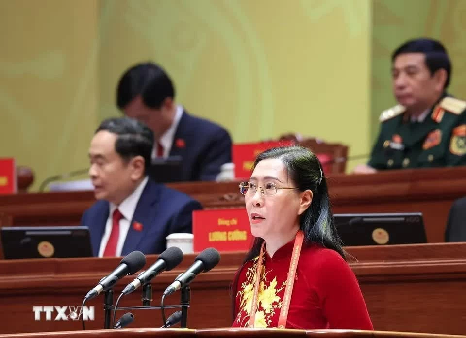 14th National Party Congress: Political parties, organizations, international friends, and overseas Vietnamese extend congratulations 14th National Party Congress: Political parties, organizations, international friends, and overseas Vietnamese extend congratulations
