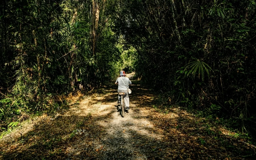 Wellness Tourism: Vietnam's opportunity to position as a 'Healing Land' Wellness Tourism: Vietnam's opportunity to position as a 'Healing Land'