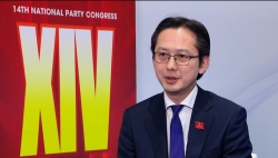 Vietnam’s multilateral diplomacy named strategic focus at 14th Party Congress: Ambassador