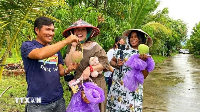 Visitors enjoy hands-on mango picking at orchards in Cam Lam commune, Khanh Hoa province. (Photo: VNA)