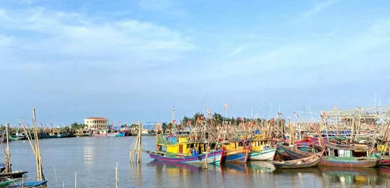 Combating IUU Fishing: Ninh Binh allocates full resources to combat IUU fishing; Quang Ngai enhances electronic seafood traceability