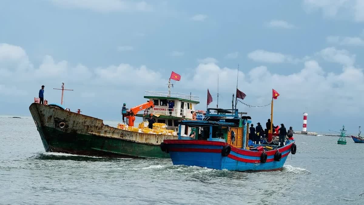 Combating IUU Fishing: Ninh Binh allocates full resources to combat IUU fishing; Quang Ngai enhances electronic seafood traceability