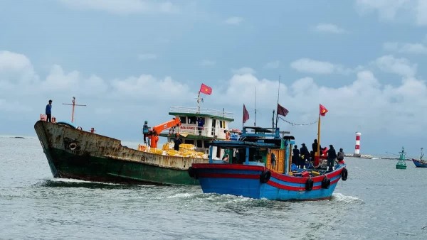 Combating IUU Fishing: Ninh Binh allocates full resources to combat IUU fishing; Quang Ngai enhances electronic seafood traceability