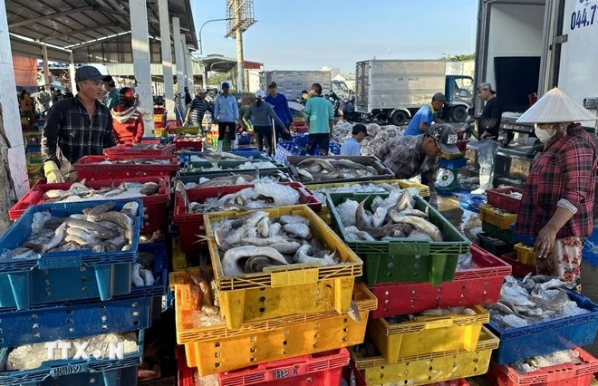 Combating IUU Fishing: Government issues decree detailing implementation of Fisheries Law Combating IUU Fishing: Government issues decree detailing implementation of Fisheries Law