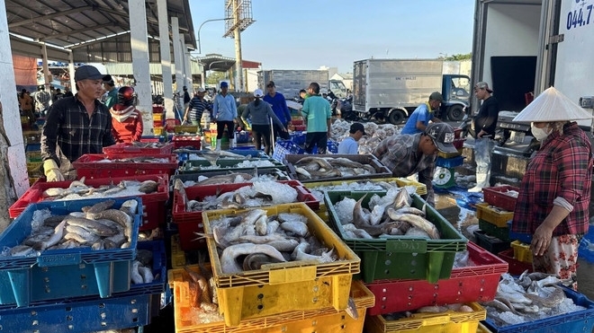 Combating IUU Fishing: Government issues decree detailing implementation of Fisheries Law