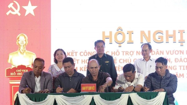 Da Nang: Nearly 500 fishing vessels sign commitment against IUU fishing