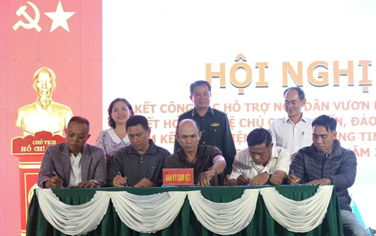 Da Nang: Nearly 500 fishing vessels sign commitment against IUU fishing Da Nang: Nearly 500 fishing vessels sign commitment against IUU fishing