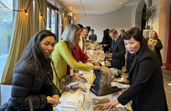 Homeland Spring 2026 in Sweden's Malmö connects community, spreads Vietnamese culture