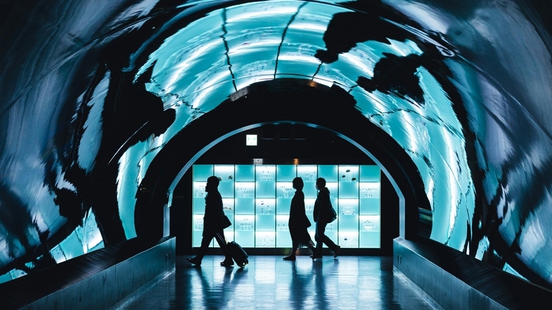 Litigating shareholder disputes in Vietnam: Court vs. Arbitration