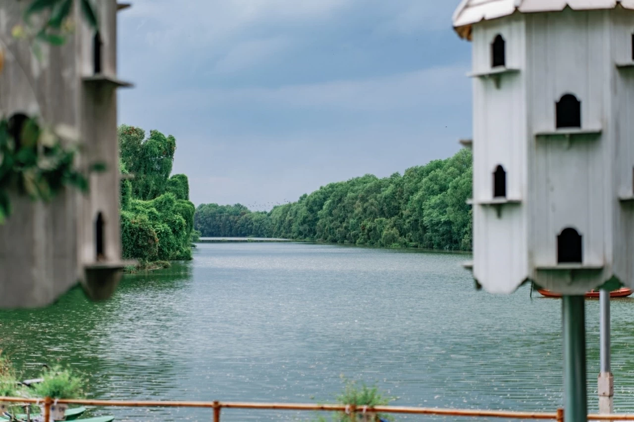 The sound map at the heart of Dong Thap Muoi's saline land The sound map at the heart of Dong Thap Muoi's saline land