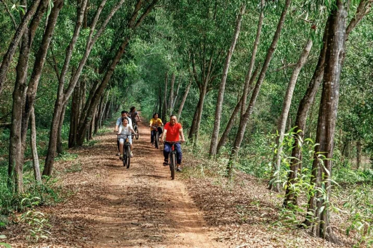 The sound map at the heart of Dong Thap Muoi's saline land The sound map at the heart of Dong Thap Muoi's saline land