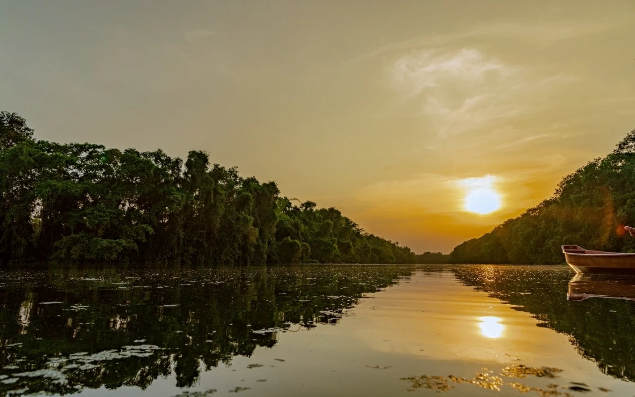 The sound map at the heart of Dong Thap Muoi's saline land The sound map at the heart of Dong Thap Muoi's saline land