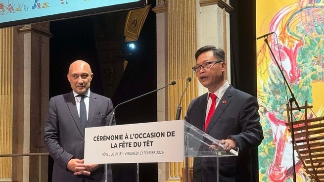 Vietnamese Tet festive atmosphere fills Paris City Hall