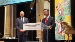 Vietnamese Tet festive atmosphere fills Paris City Hall