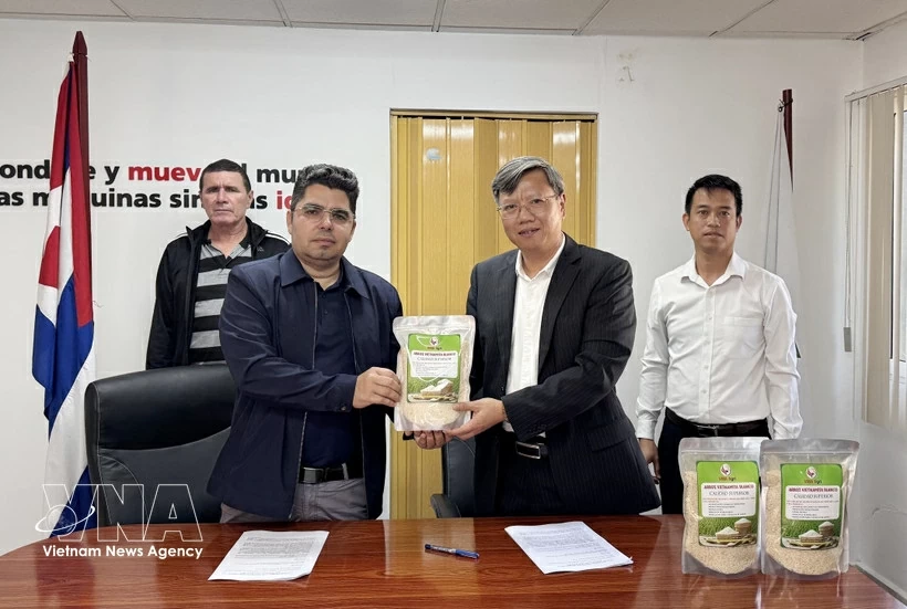 Vietnamese Ambassador to Cuba Le Quang Long (right) symbolically hands over 250 tonnes of rice to Cuban Deputy Minister of Agriculture Telce Abdel González (Photo: VNA) Vietnamese Ambassador to Cuba Le Quang Long (right) symbolically hands over 250 tonnes of rice to Cuban Deputy Minister of Agriculture Telce Abdel González (Photo: VNA)
