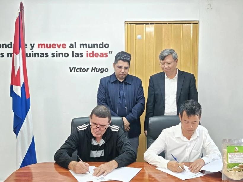 250 tonnes of rice delivered, contributing to food security in Cuba