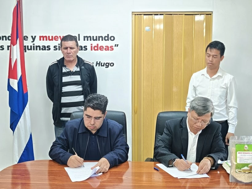 250 tonnes of rice delivered, contributing to food security in Cuba