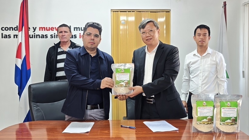 250 tonnes of rice delivered, contributing to food security in Cuba