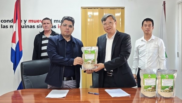 250 tonnes of rice delivered, contributing to food security in Cuba