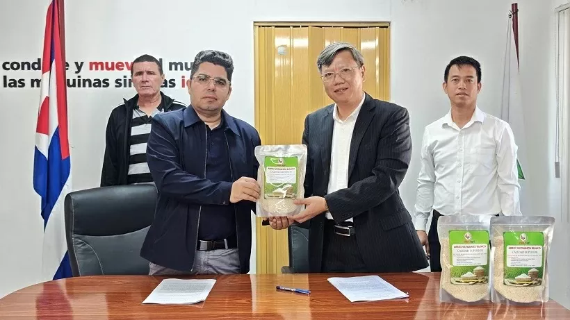 250 tonnes of rice delivered, contributing to food security in Cuba