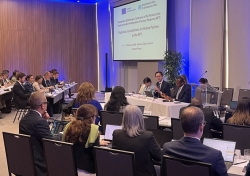 Vietnam chairs Latin America and Caribbean Regional Consultation Workshop on Nuclear Non-Proliferation