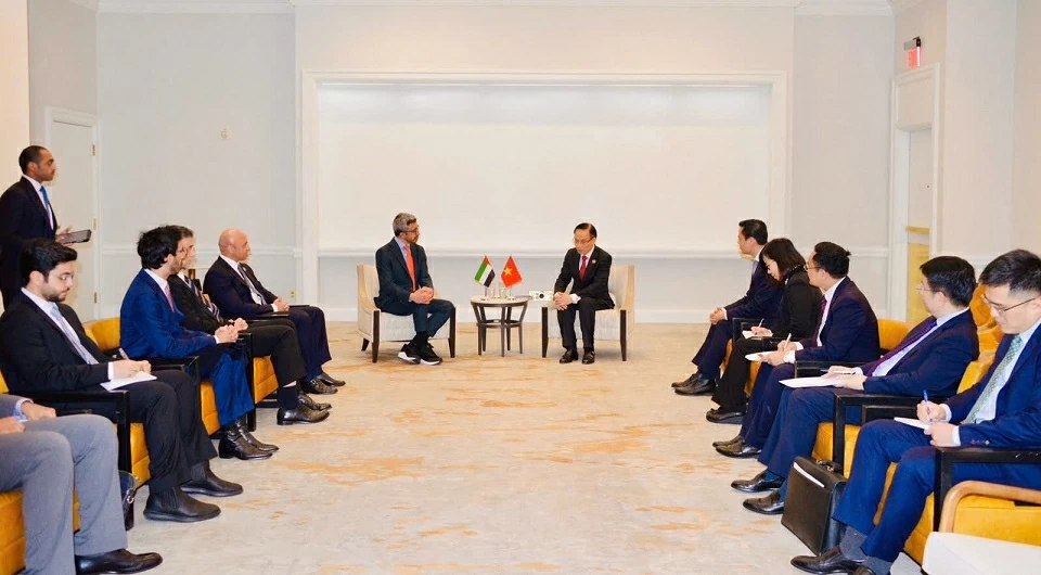 Politburo Member, Foreign Minister Le Hoai Trung meets with Foreign Ministers of UAE, Egypt, and Turkey