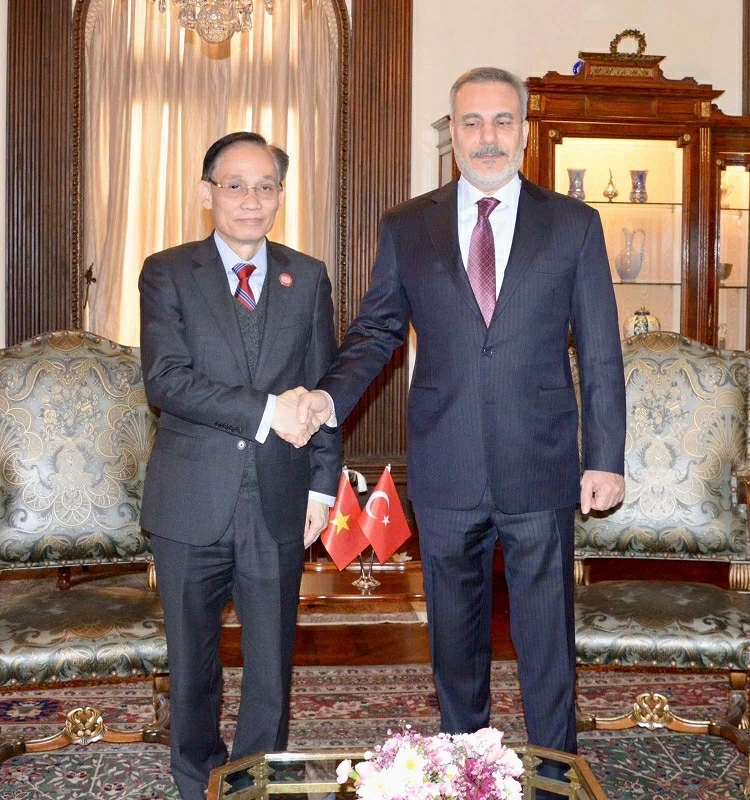 Politburo Member, Foreign Minister Le Hoai Trung meets with Foreign Ministers of UAE, Egypt, and Turkey