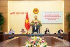 National online conference on implementing the election of National Assembly and People's Council deputies