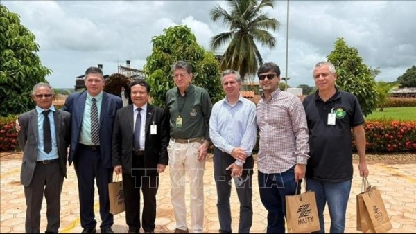Vietnam and Brazil boost cooperation in agriculture, energy, and biotechnology