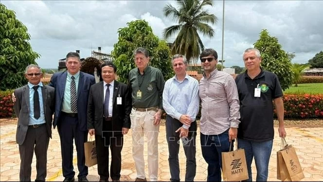 Vietnam and Brazil boost cooperation in agriculture, energy, and biotechnology