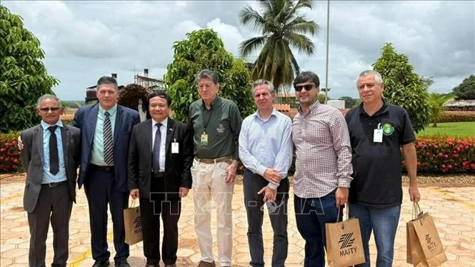 Vietnam and Brazil boost cooperation in agriculture, energy, and biotechnology Vietnam and Brazil boost cooperation in agriculture, energy, and biotechnology