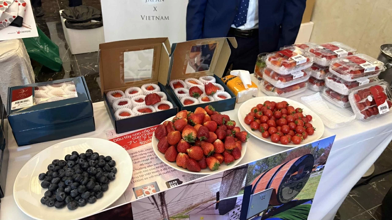 Celebration of Emperor Naruhito's birthday highlights strengthened Vietnam–Japan comprehensive strategic partnership Celebration of Emperor Naruhito's birthday highlights strengthened Vietnam–Japan comprehensive strategic partnership