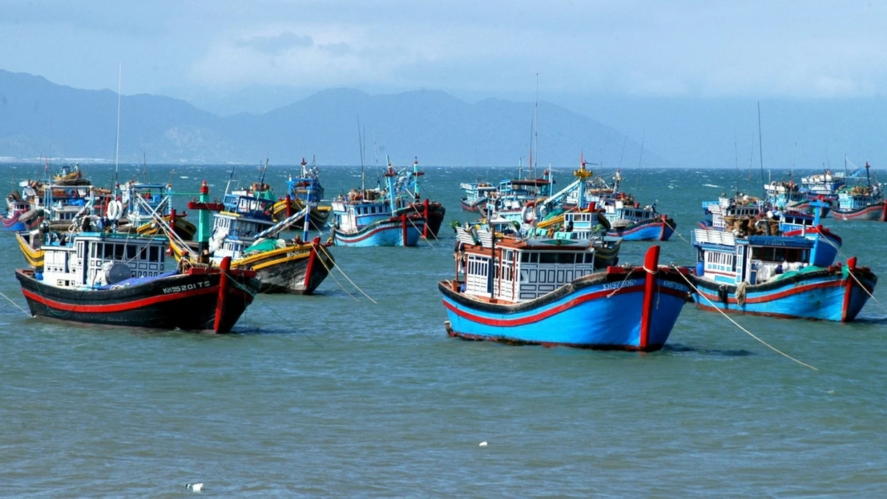 Combat IUU Fishing: Highest determination to lift IUU 'yellow card' Combat IUU Fishing: Highest determination to lift IUU 'yellow card'