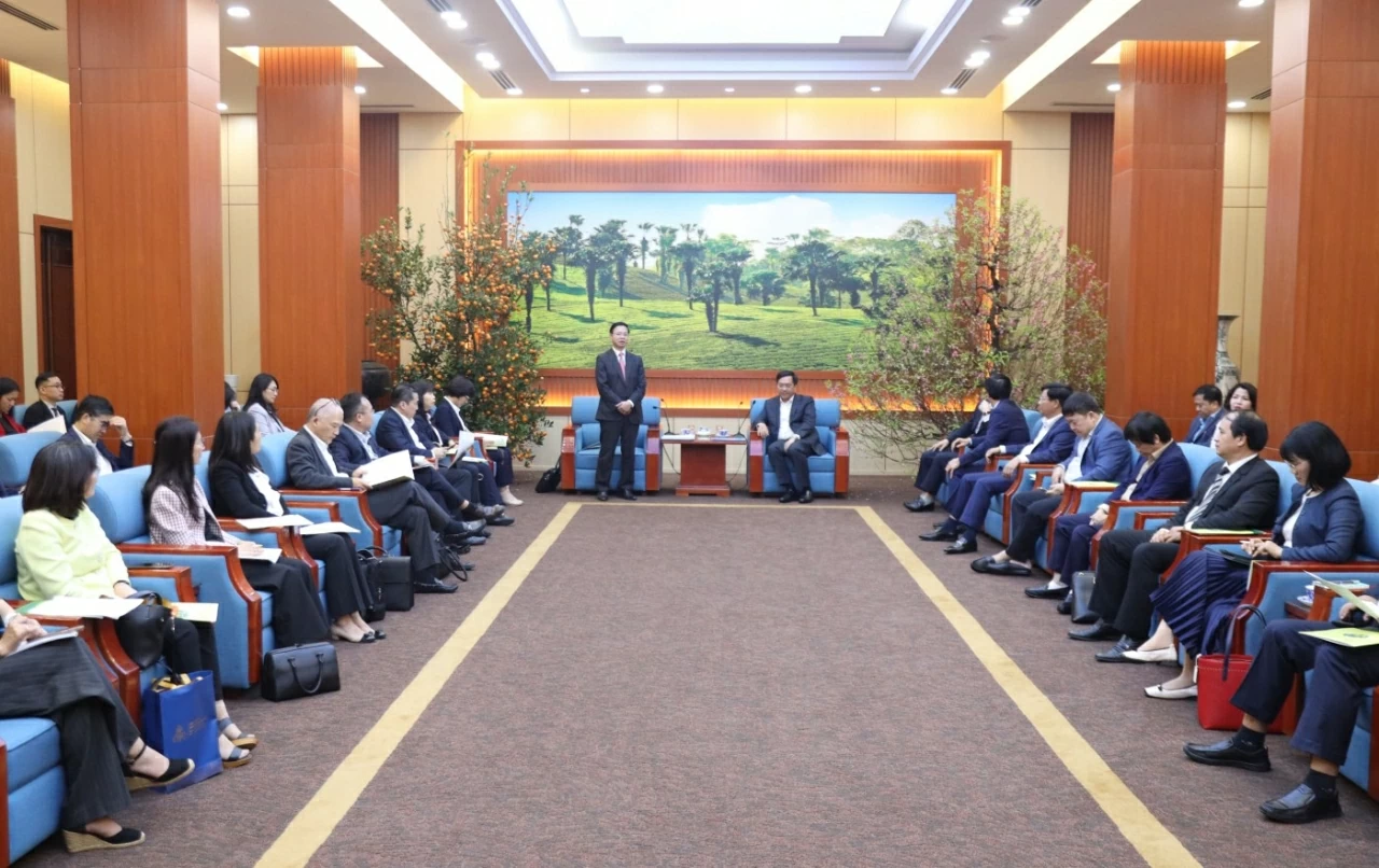 Heads of Vietnamese Representative Missions work with Tuyen Quang and Phu Tho provincial leaders