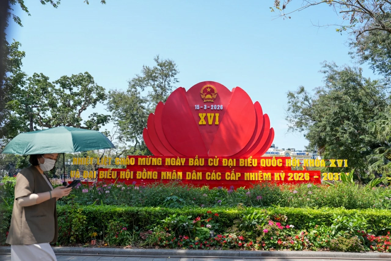 National Assembly Election 2026: The power of voter participation