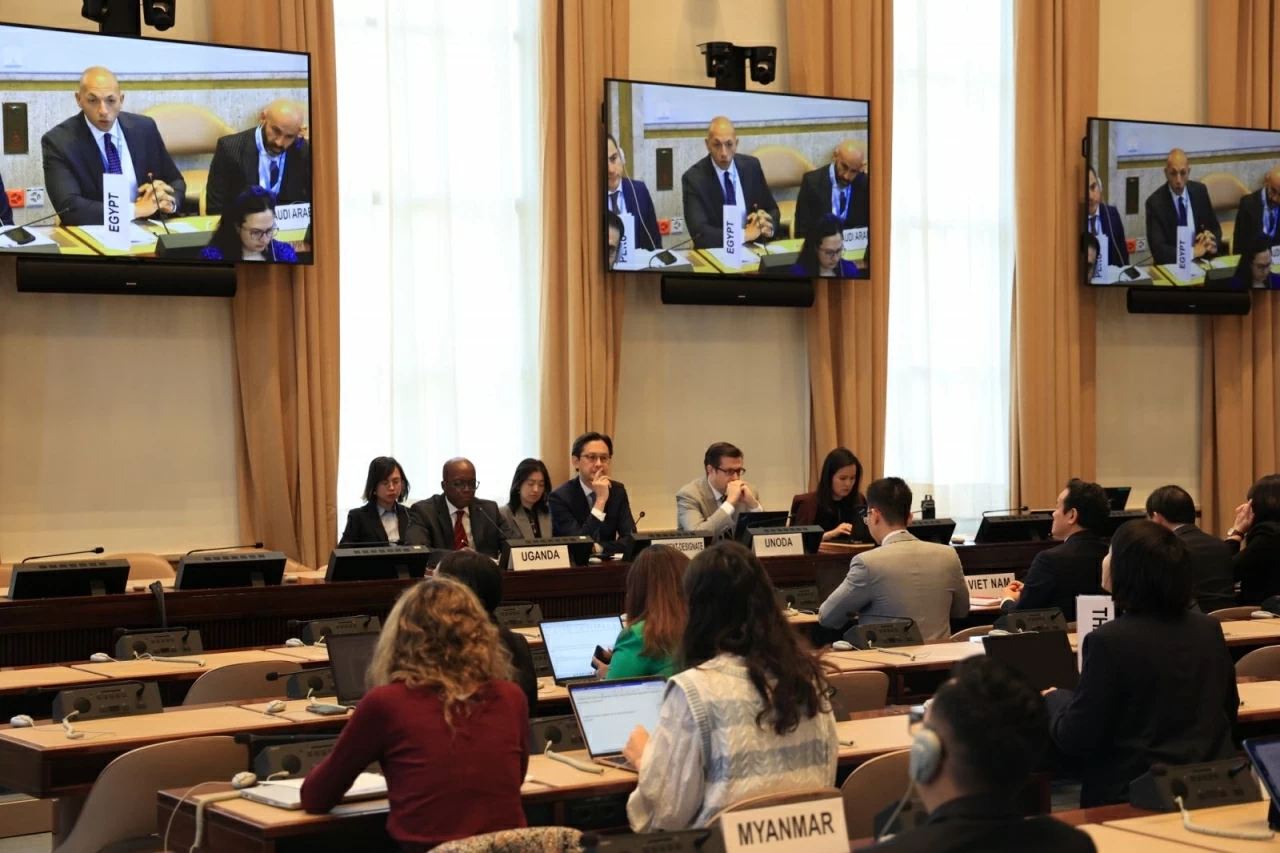 Vietnam holds consultations on the 11th Review Conference of the Nuclear Non-Proliferation Treaty in Switzerland Vietnam holds consultations on the 11th Review Conference of the Nuclear Non-Proliferation Treaty in Switzerland