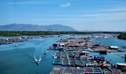 Experience helicopter tours over Ho Chi Minh City and Vung Tau