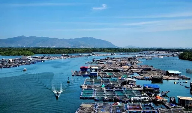 Experience helicopter tours over Ho Chi Minh City and Vung Tau