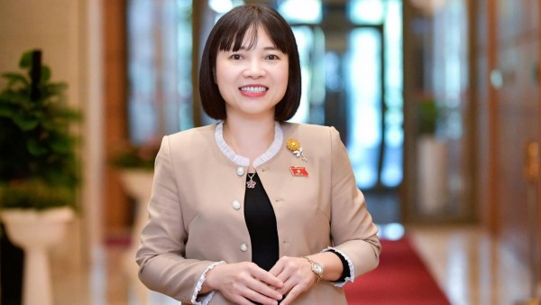 National Assembly Election 2026: Ballots and responsibility for the nation's future