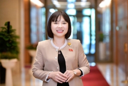 National Assembly Election 2026: Ballots and responsibility for the nation's future