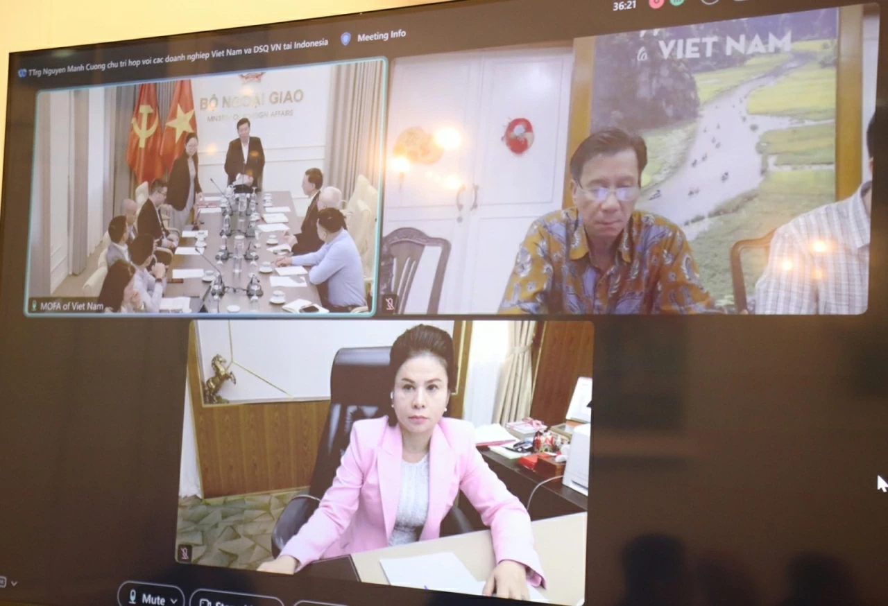 Ministry of Foreign Affairs supports enterprises in expanding investment and business in Indonesia