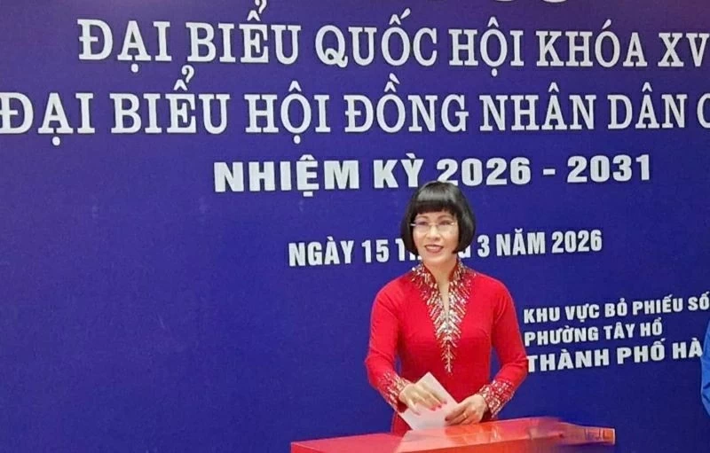 16th National Assembly Election: Overseas Vietnamese proud to cast ballots directly 16th National Assembly Election: Overseas Vietnamese proud to cast ballots directly
