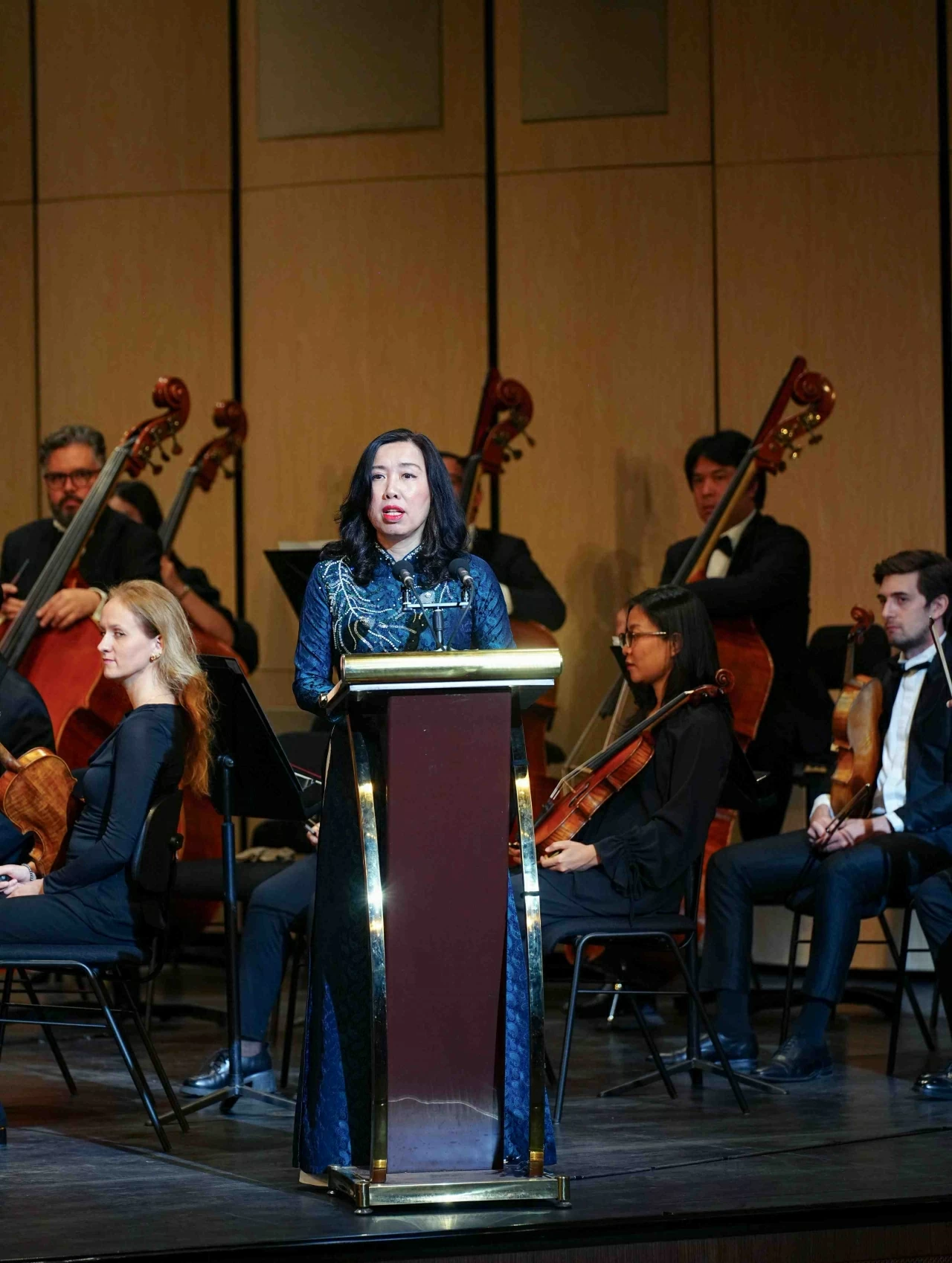 ‘Symphonic Dialogue’ strengthens Vietnam-Hungary cultural exchange